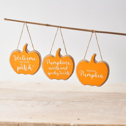 "Hello Pumpkin" Pumpkin Biscuit Hanger