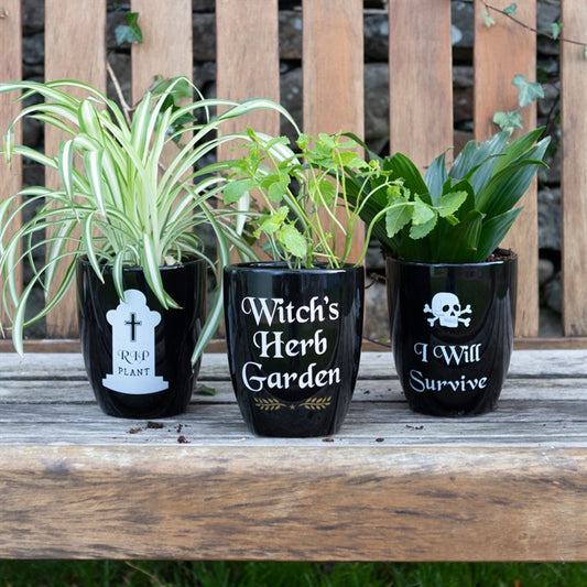 Gothic Garden Plant Pots